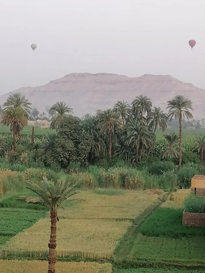 Luxor Palace Apartments 0*,