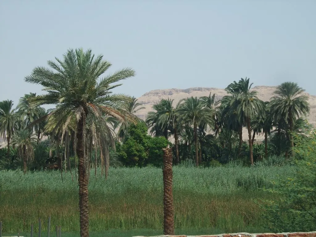 Luxor Palace Apartments 0*,